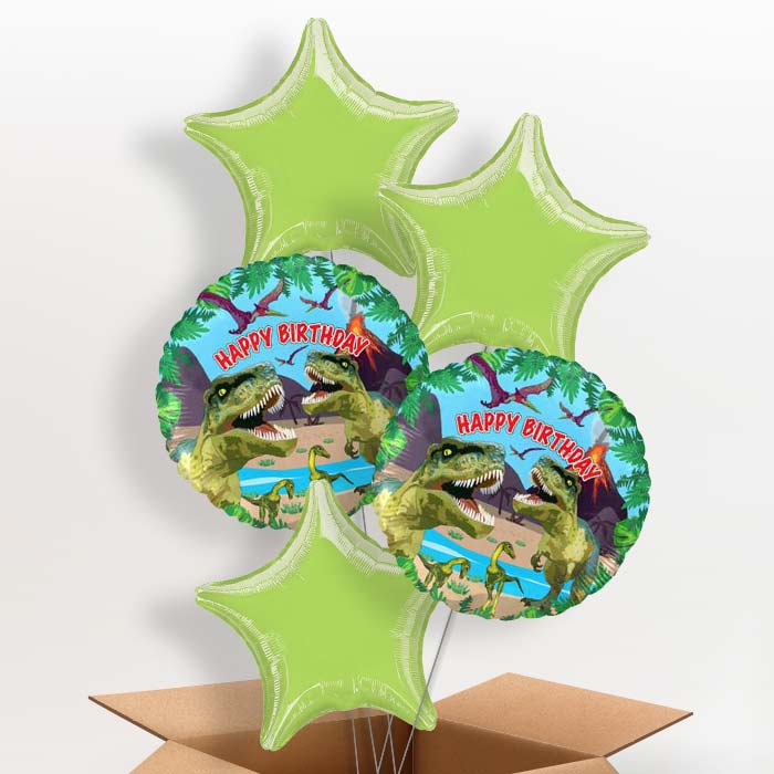 Birthday Dinosaur Balloons in a Box - 5 Balloon | Small Indoor Plants