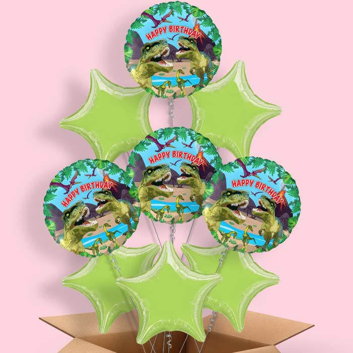 Birthday Dinosaur Balloons in a Box - 9 Balloon | Small Indoor Plants