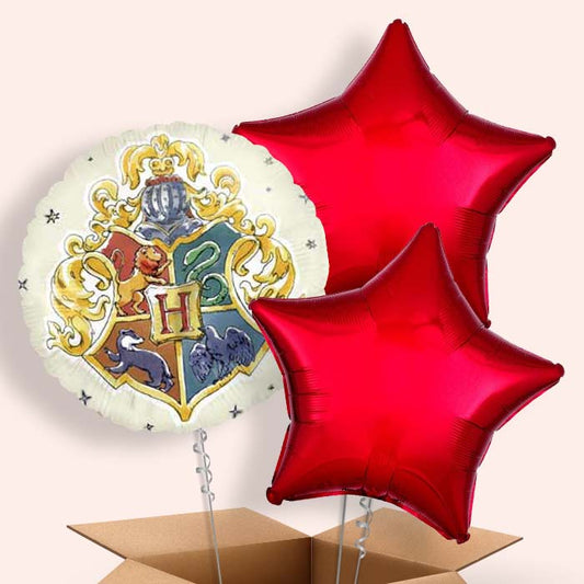 Magical Harry Potter Balloon Arrangement in a Box - 3 Balloon | Small Indoor Plants