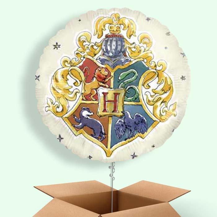 Magical Harry Potter Balloon Arrangement in a Box - 1 Balloon | Small Indoor Plants