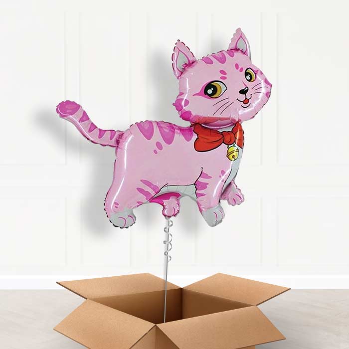 Cat Party Hat Giant Balloon in a Box Gift