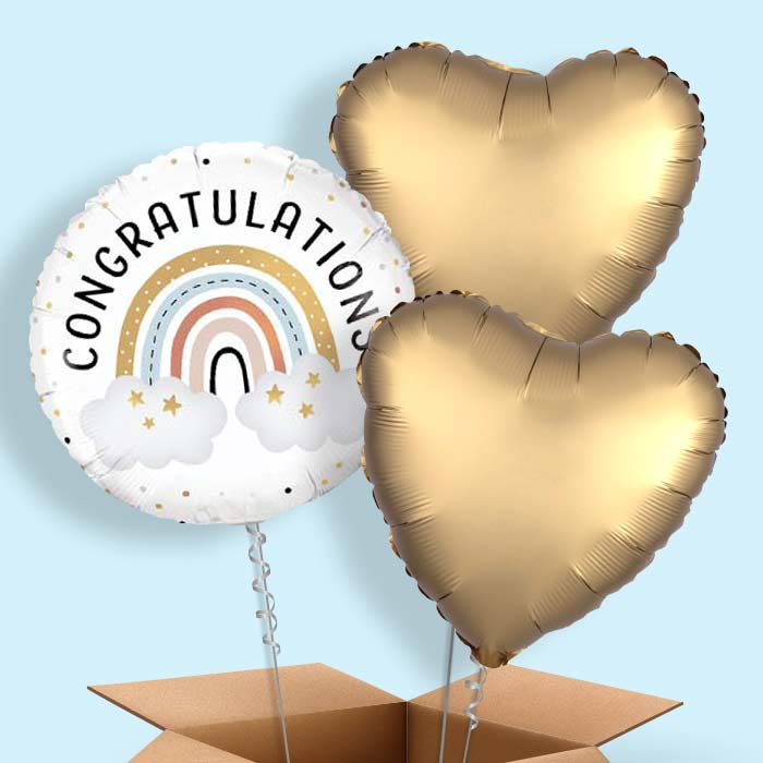 Boho Congratulations Balloon in a Box - 3 Balloon | Small Indoor Plants