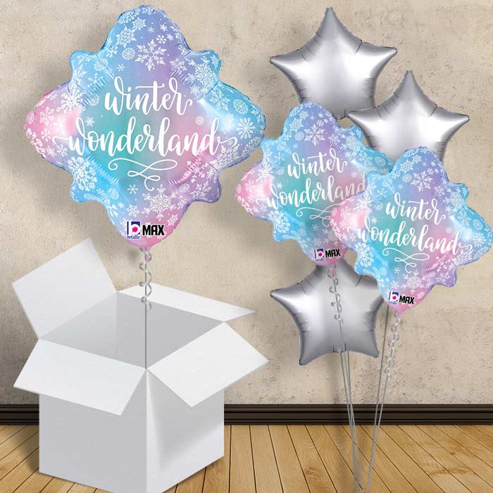 Winter Wonderland Christmas Balloon in a Box - 1 Balloon | Small Indoor Plants
