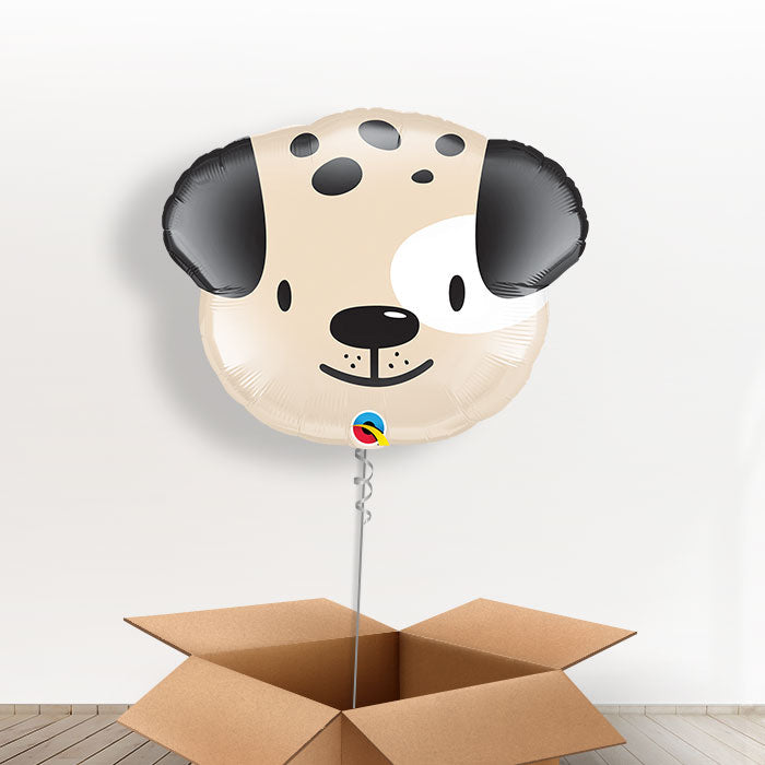 Large Cute Puppy Balloon in a Box - Giant Balloon | Small Indoor Plants