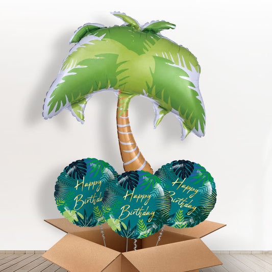 Palm Tree Balloon in a Box - With 3 Themed Balloons | Small Indoor Plants