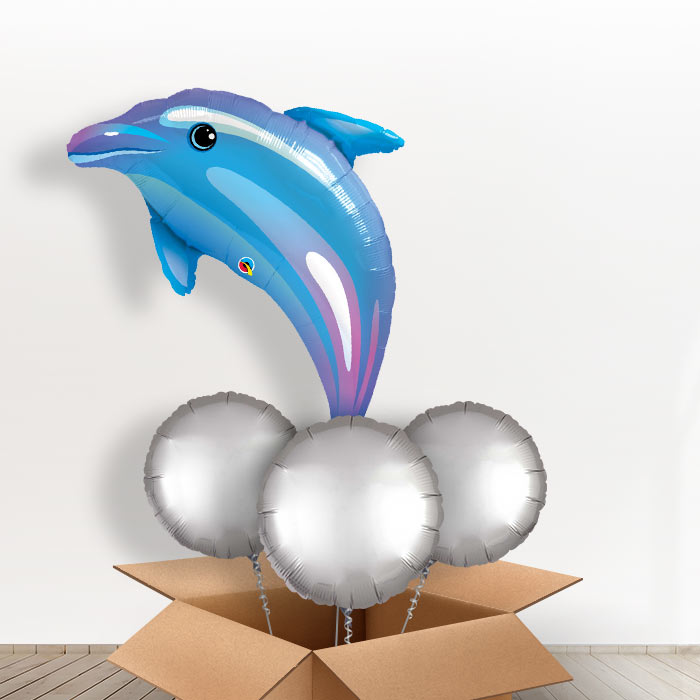 Dolphin Giant Balloon in a Box Gift - With 3 Plain Balloons | Small Indoor Plants