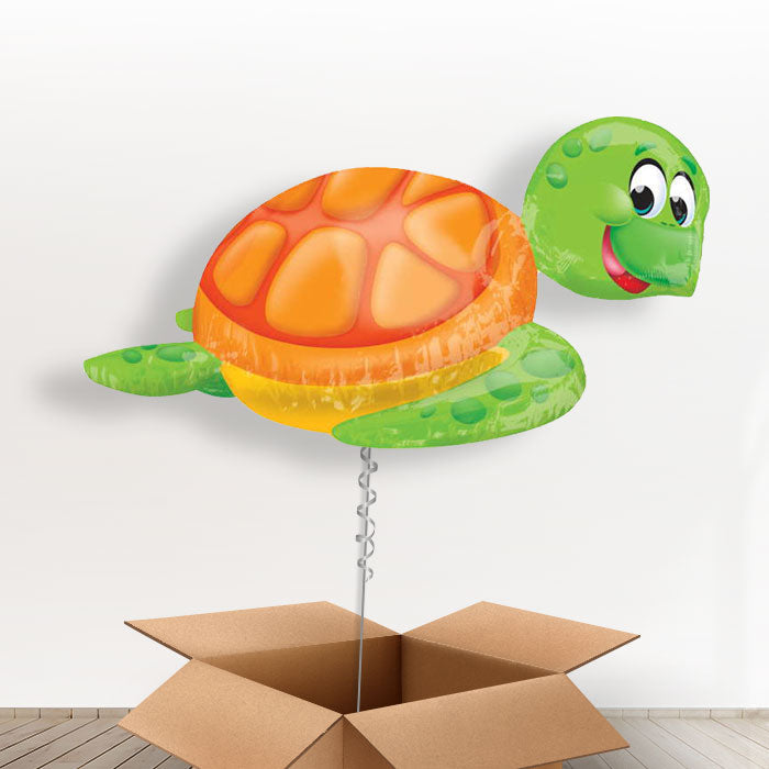 Turtle Helium Balloon in a Box - Giant Balloon | Small Indoor Plants
