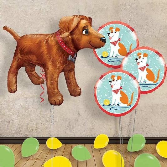 Golden Dog Balloon Bouquet in a Box - Themed Bouquet and Latex | Small Indoor Plants