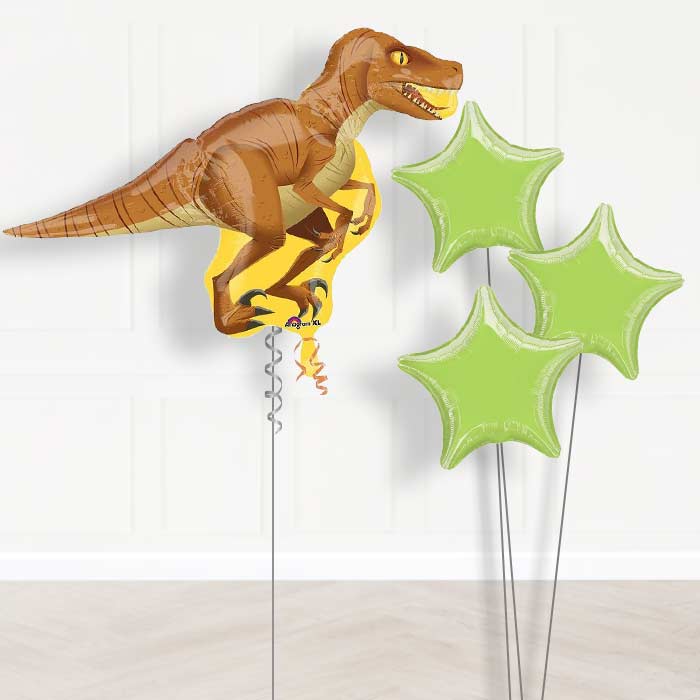 Raptor Dinosaur Helium Balloons Delivered - Plain Bouquet | Small Indoor Plants