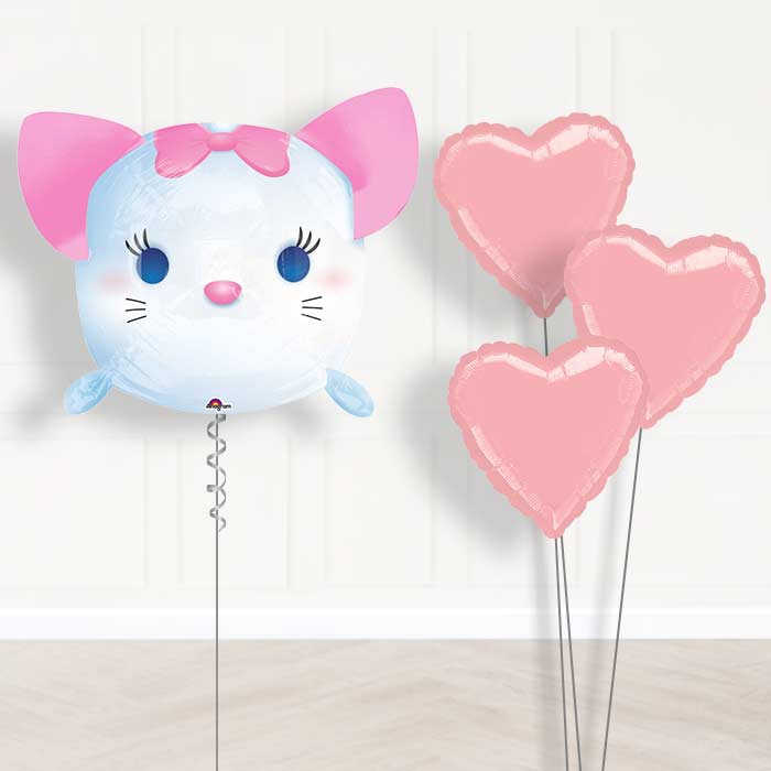 Marie Aristocats Balloon Bouquet in a Box - Plain Bouquet | Small Indoor Plants