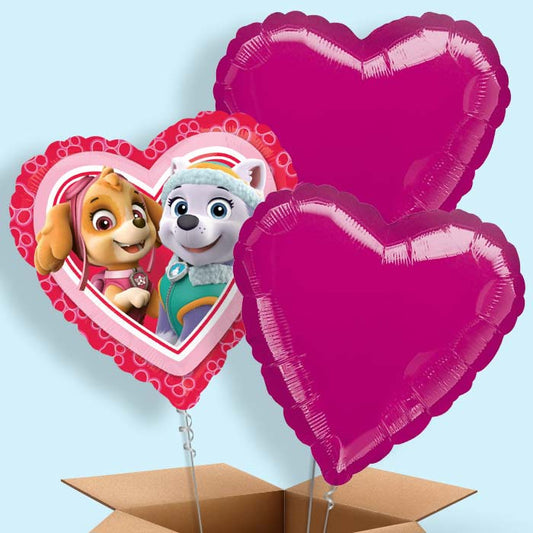 Paw Patrol Skye and Everest Balloon in a Box - 3 Balloon | Small Indoor Plants