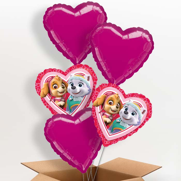 Paw Patrol Skye and Everest Balloon in a Box - 5 Balloon | Small Indoor Plants