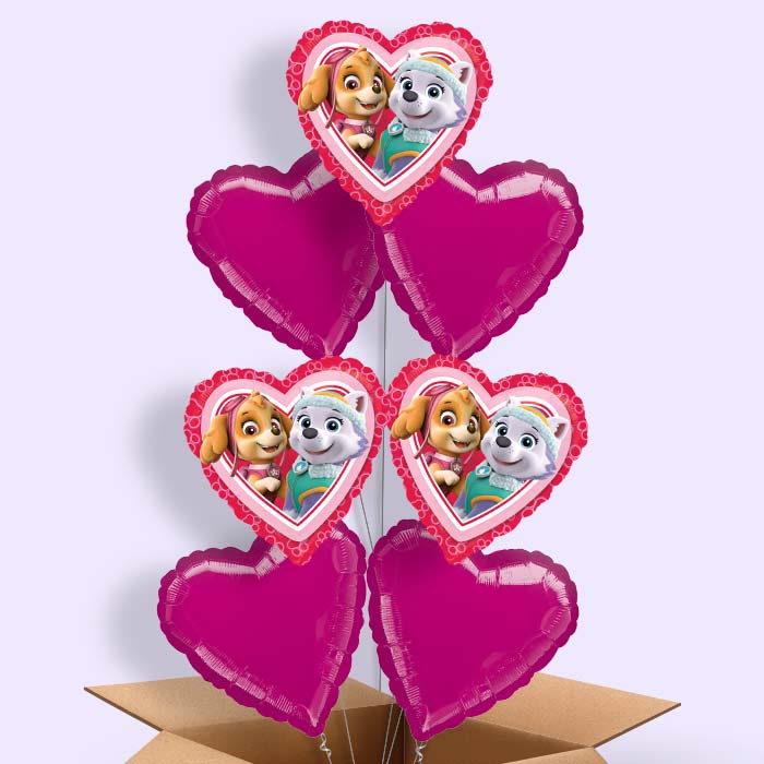 Paw Patrol Skye and Everest Balloon in a Box - 7 Balloon | Small Indoor Plants