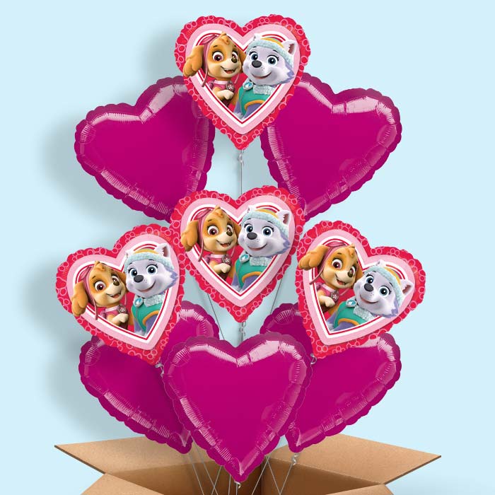 Paw Patrol Skye and Everest Balloon in a Box - 9 Balloon | Small Indoor Plants