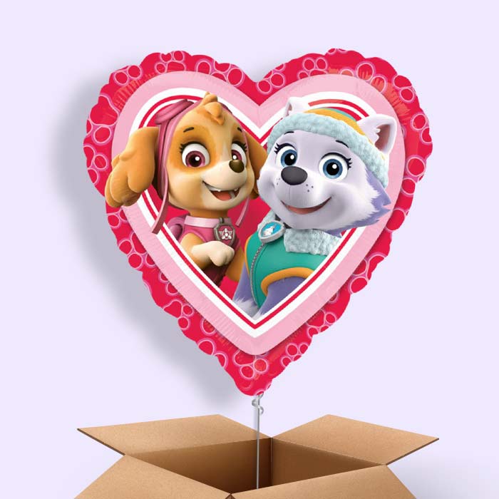 Paw Patrol Skye and Everest Balloon in a Box - 1 Balloon | Small Indoor Plants