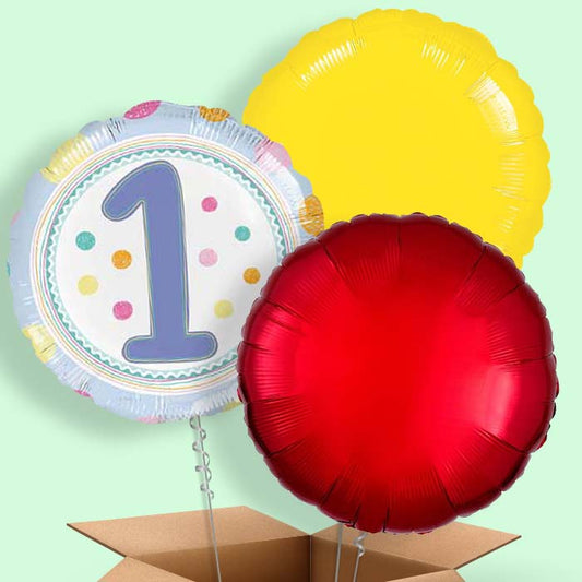 Pastel Dots 1st Birthday Helium Balloons Delivered - 3 Balloon | Small Indoor Plants
