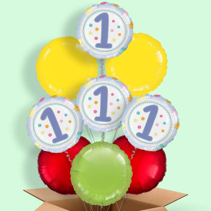 Pastel Dots 1st Birthday Helium Balloons Delivered - 9 Balloon | Small Indoor Plants
