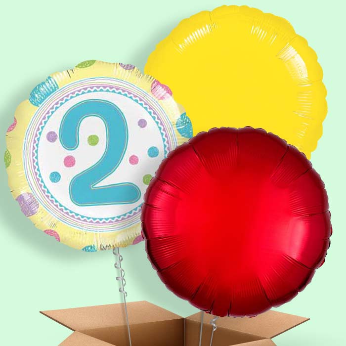 2nd Birthday Colourful Spots Balloon in a Box - 3 Balloon | Small Indoor Plants