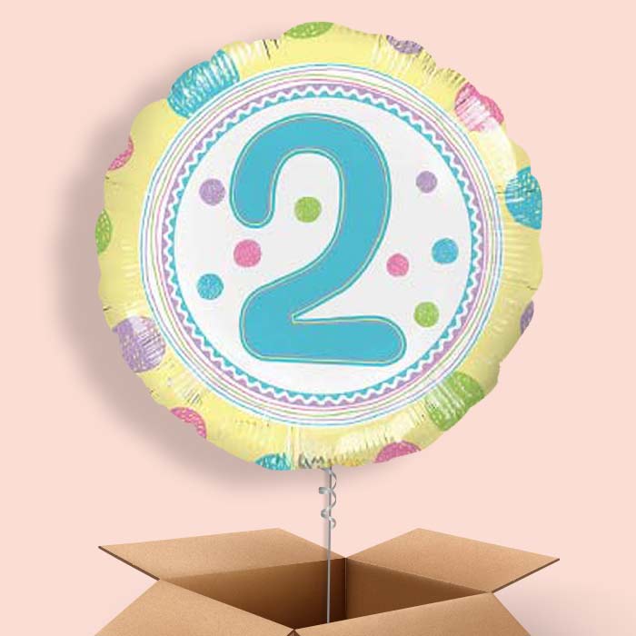 2nd Birthday Colourful Spots Balloon in a Box - 1 Balloon | Small Indoor Plants