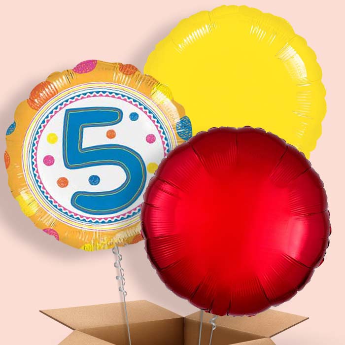 5th Birthday Colourful Spots Balloon in a Box - 3 Balloon | Small Indoor Plants