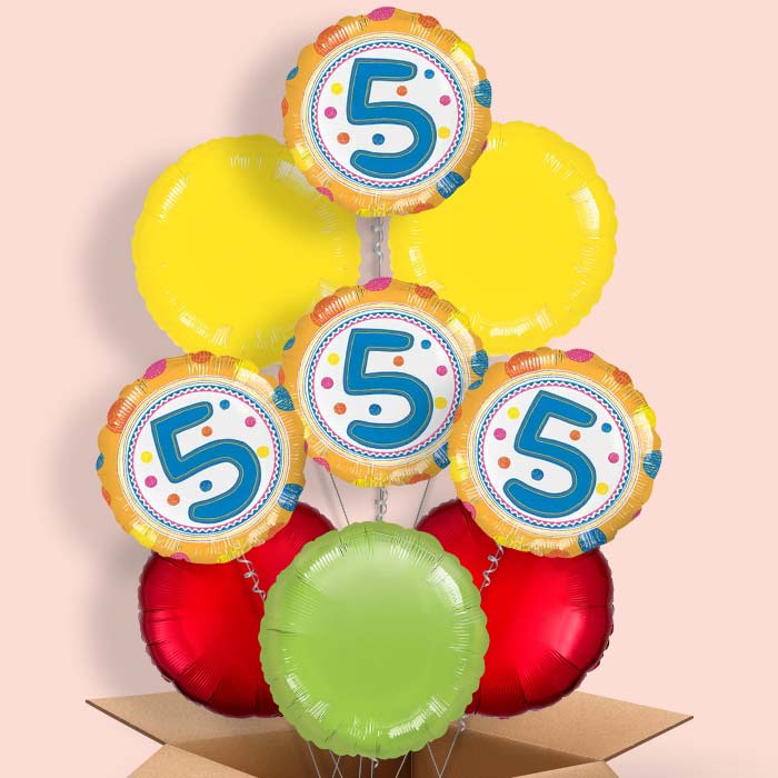 5th Birthday Colourful Spots Balloon in a Box - 9 Balloon | Small Indoor Plants