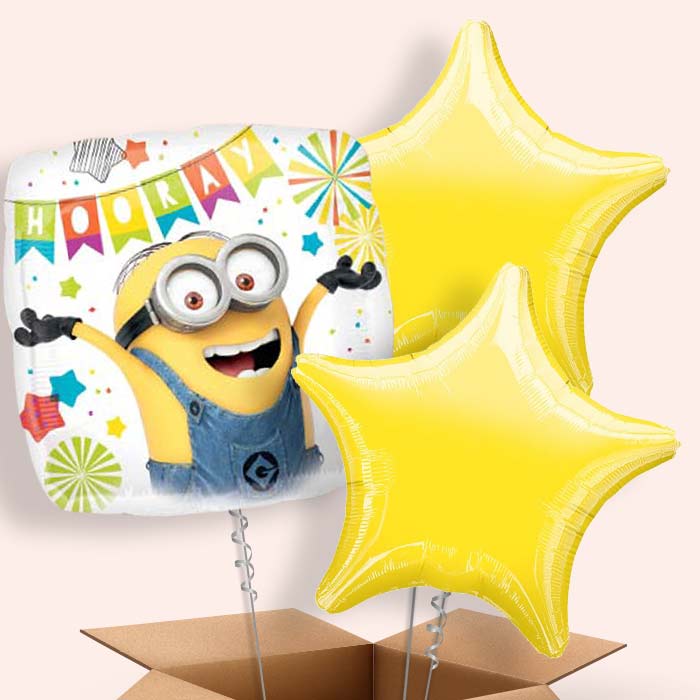 Hooray Balloons Delivered in a Box - 3 Balloon | Small Indoor Plants