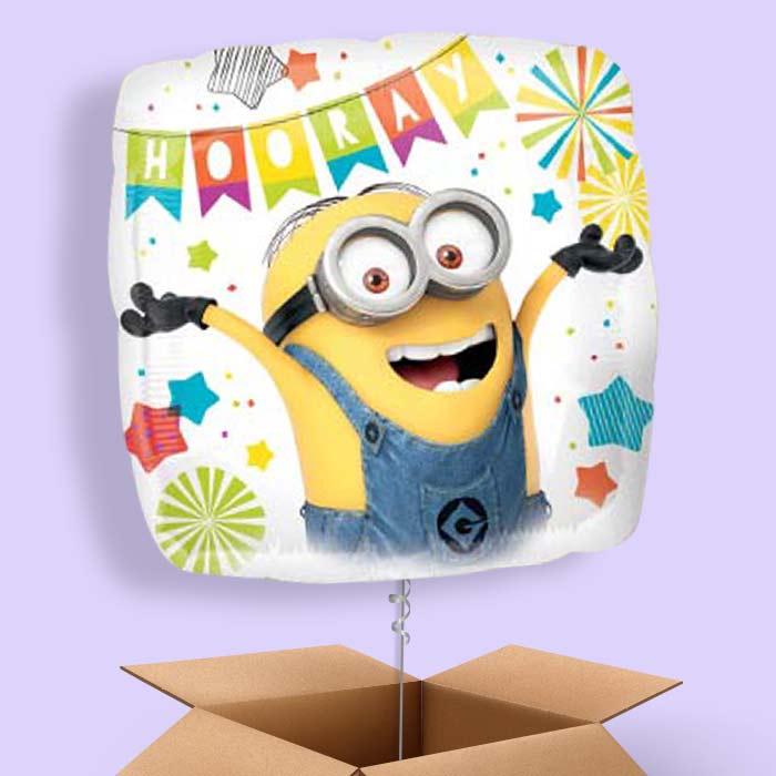 Hooray Balloons Delivered in a Box - 1 Balloon | Small Indoor Plants