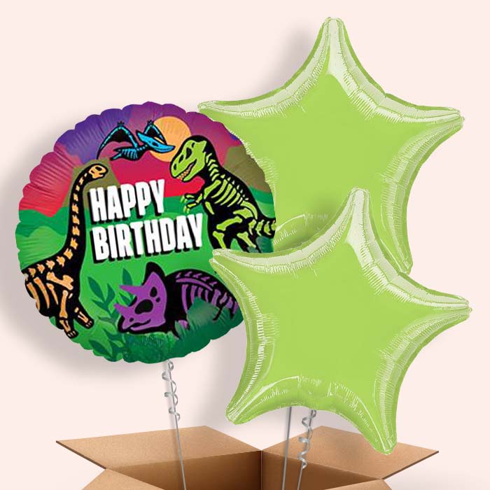 Jurassic Birthday Balloons Delivery - 3 Balloon | Small Indoor Plants