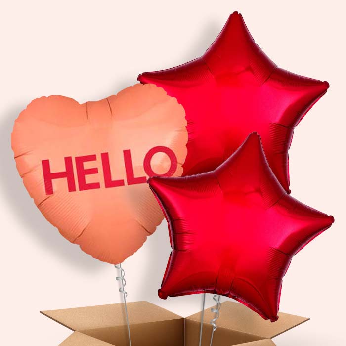 Hello | Candy Heart Balloon in a Box - 3 Balloon | Small Indoor Plants