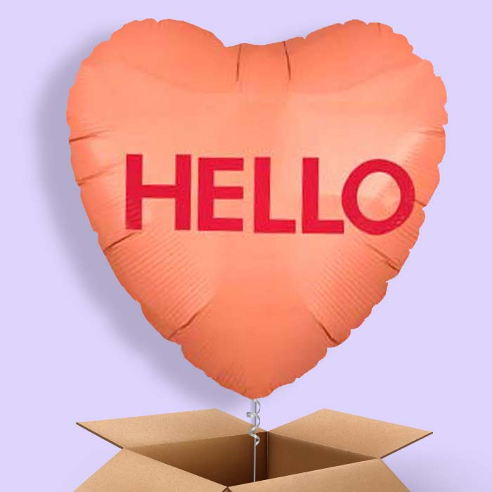 Hello | Candy Heart Balloon in a Box - 1 Balloon | Small Indoor Plants