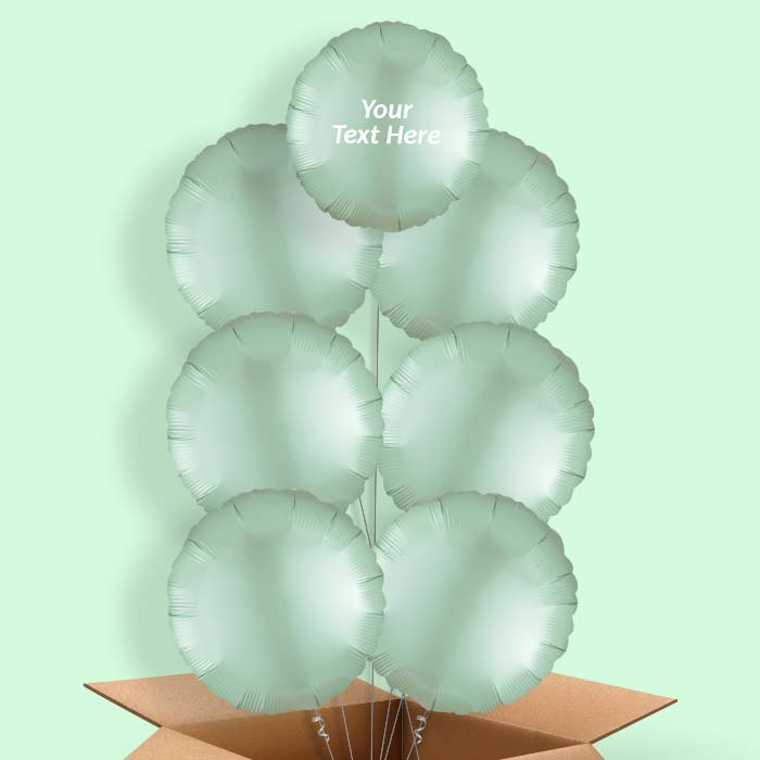 Mint Green Satin Circle Balloon in a Box - 7 Balloon | Small Indoor Plants