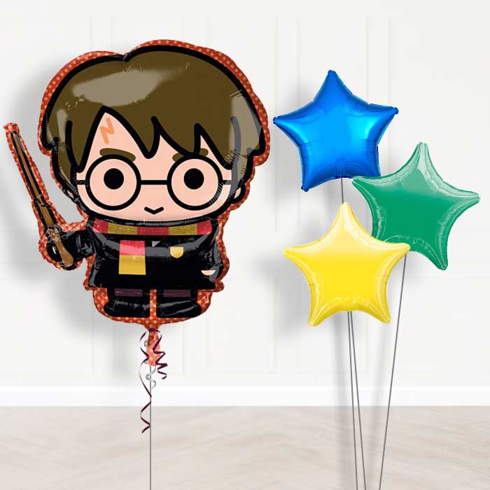 Harry Potter Helium Balloon Bouquet in a Box - Plain Bouquet | Small Indoor Plants