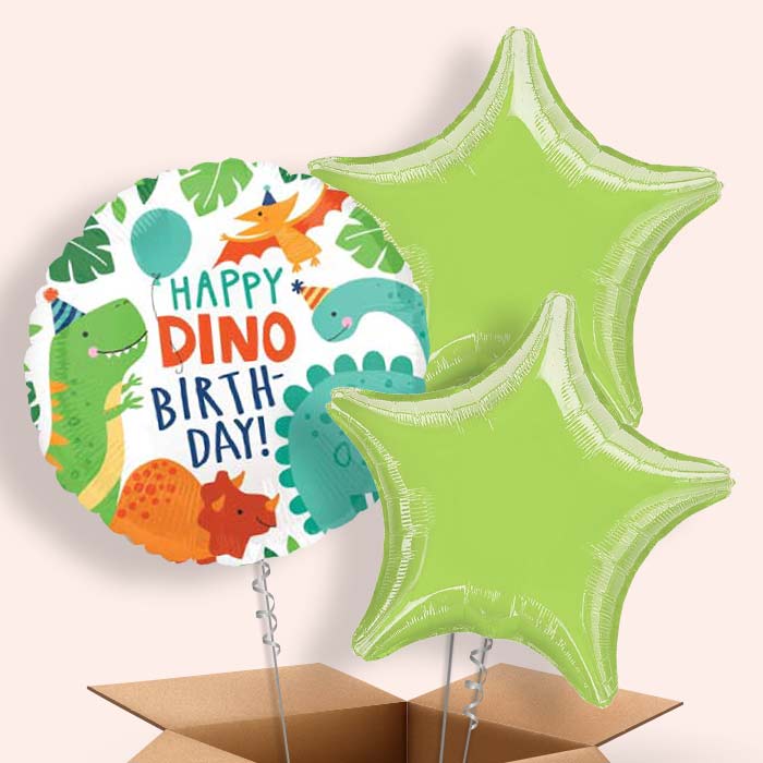 Happy Birthday Dino Balloons in a Box - 3 Balloon | Small Indoor Plants