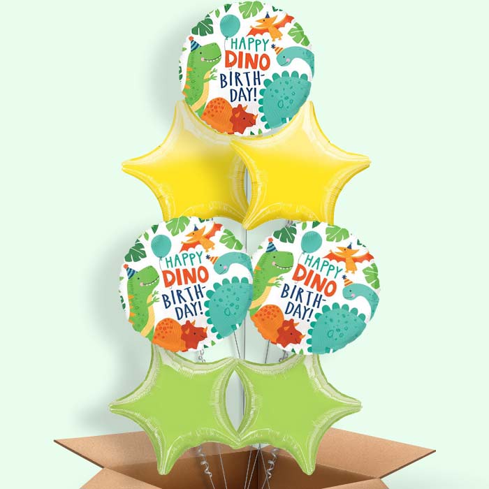 Happy Birthday Dino Balloons in a Box - 7 Balloon | Small Indoor Plants