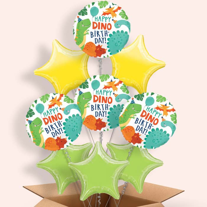 Happy Birthday Dino Balloons in a Box - 9 Balloon | Small Indoor Plants