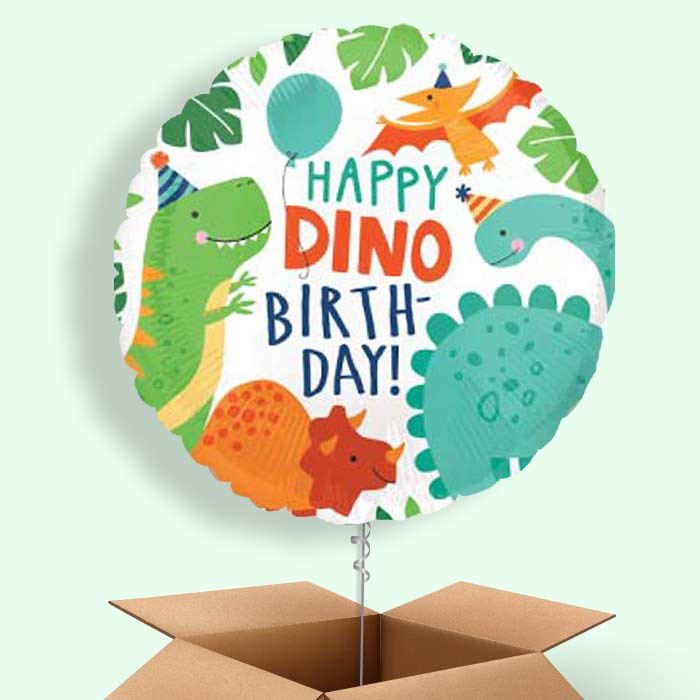 Happy Birthday Dino Balloons in a Box - 1 Balloon | Small Indoor Plants