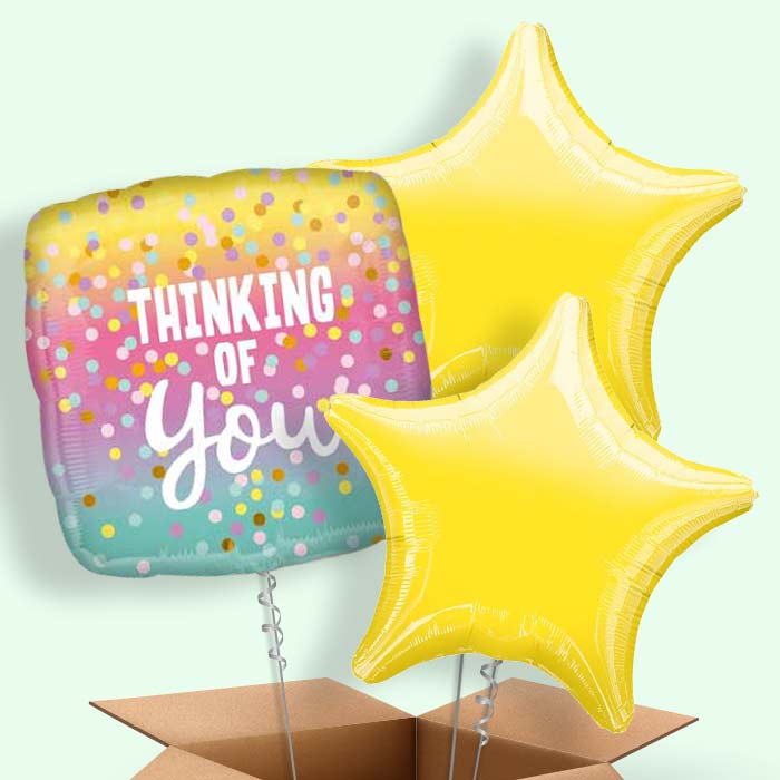 Thinking of You Pastel Dots Balloon in a Box - 3 Balloon | Small Indoor Plants