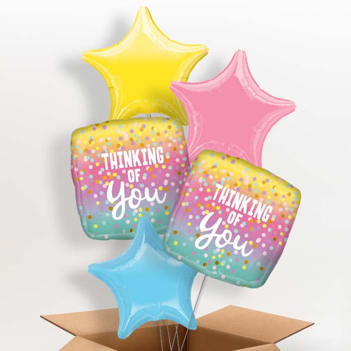 Thinking of You Pastel Dots Balloon in a Box - 5 Balloon | Small Indoor Plants