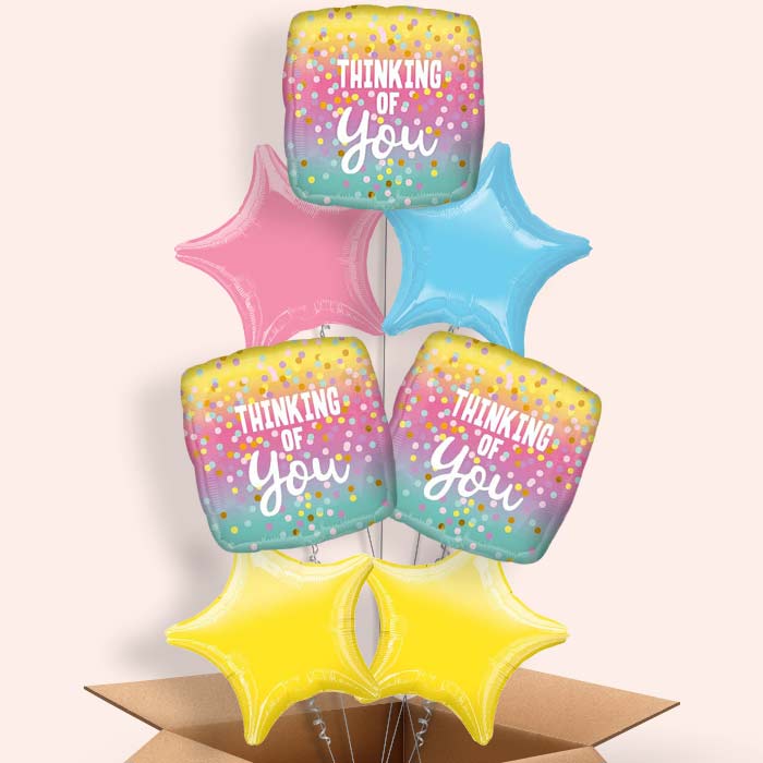 Thinking of You Pastel Dots Balloon in a Box - 7 Balloon | Small Indoor Plants