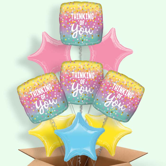 Thinking of You Pastel Dots Balloon in a Box - 9 Balloon | Small Indoor Plants