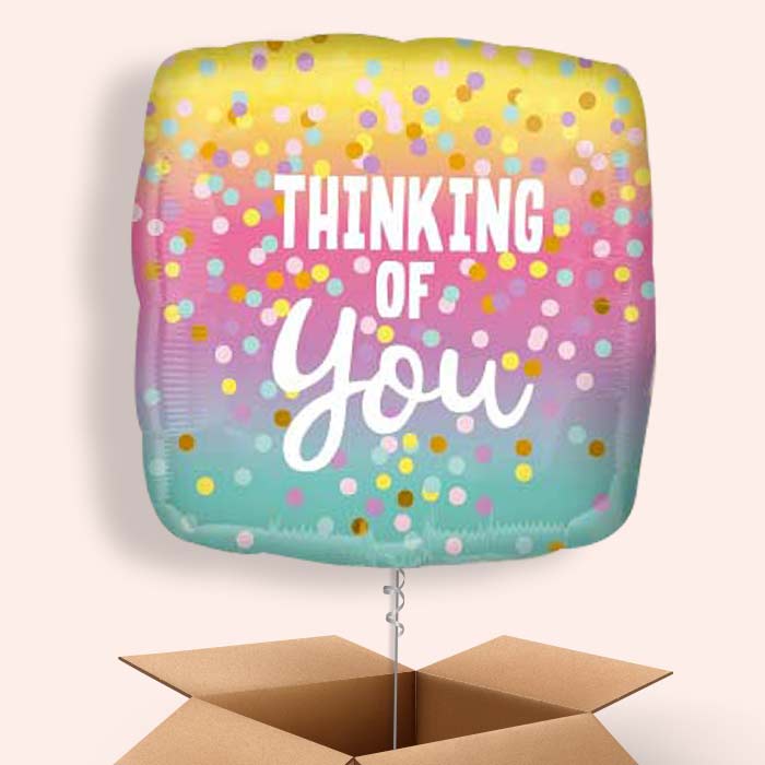 Thinking of You Pastel Dots Balloon in a Box - 1 Balloon | Small Indoor Plants