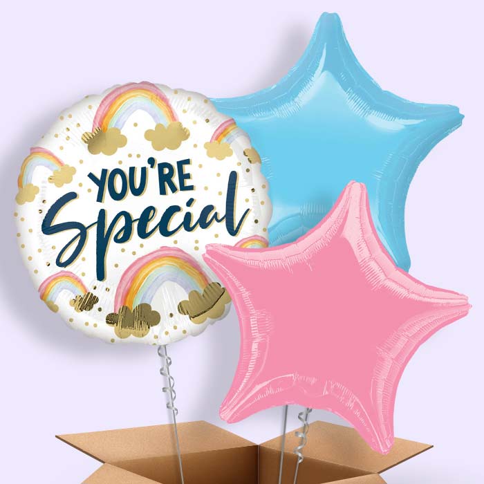 You’re Special Rainbow Balloon in a Box - 3 Balloon | Small Indoor Plants