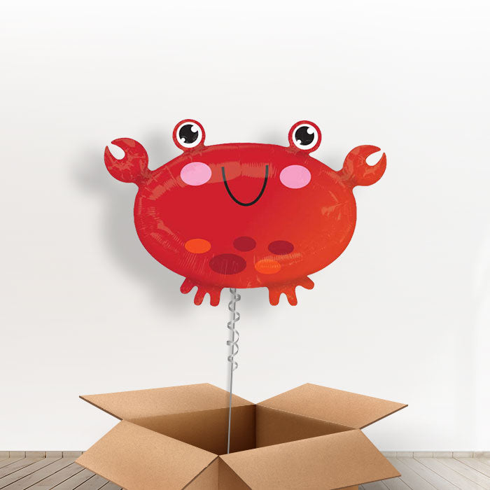 Crab Balloon in a Box - Giant Balloon | Small Indoor Plants