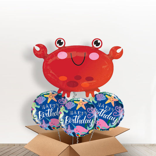 Crab Balloon in a Box - With 3 Themed Balloons | Small Indoor Plants