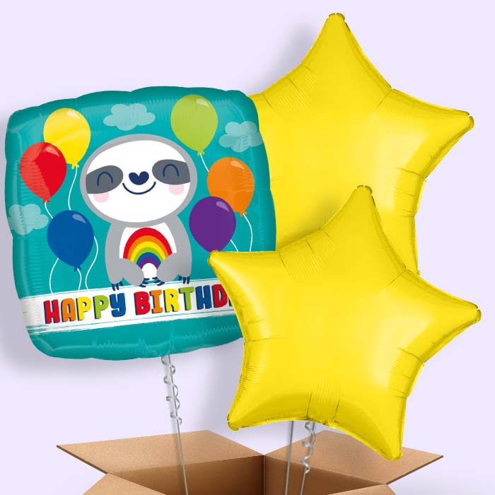 Happy Birthday Sloth Balloon in a Box - 3 Balloon | Small Indoor Plants