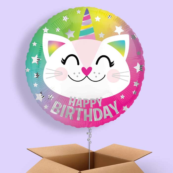 Caticorn Happy Birthday Foil Balloon in a Box - 1 Balloon | Small Indoor Plants