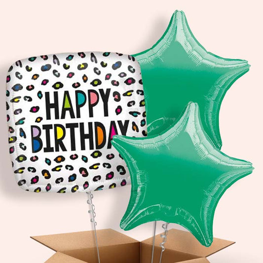 Leopard Print Balloons in a Box - Happy Birthday - 3 Balloon | Small Indoor Plants