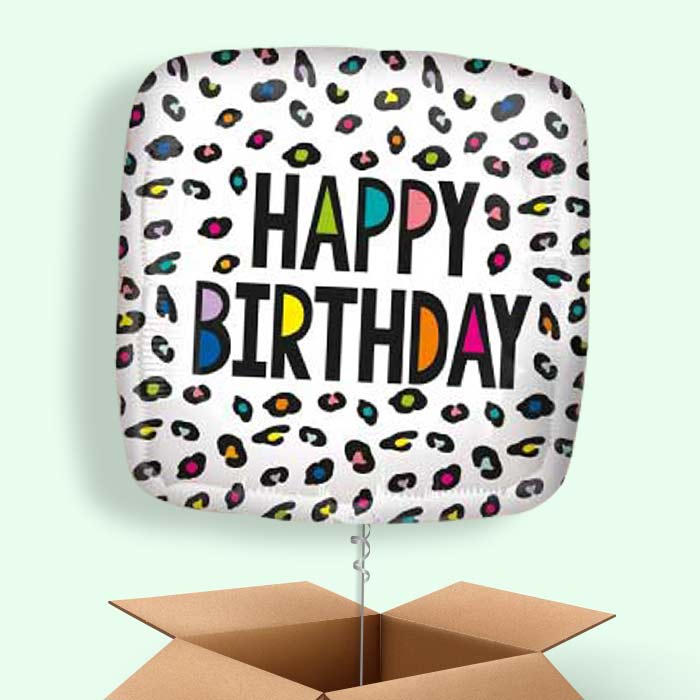 Leopard Print Balloons in a Box - Happy Birthday - 1 Balloon | Small Indoor Plants