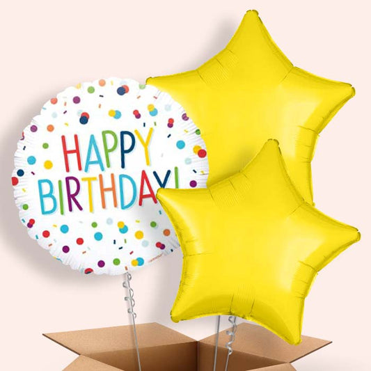 Rainbow Confetti Happy Birthday Balloon in a Box - 3 Balloon | Small Indoor Plants