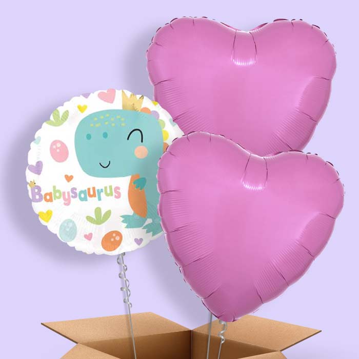Babysaurus Balloon in a Box - 3 Balloon | Small Indoor Plants